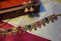 Airavata Elephant Multicolour Choker